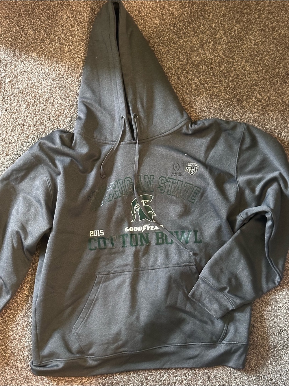 Nike Men's Gray Michigan State Spartans Hoodie
